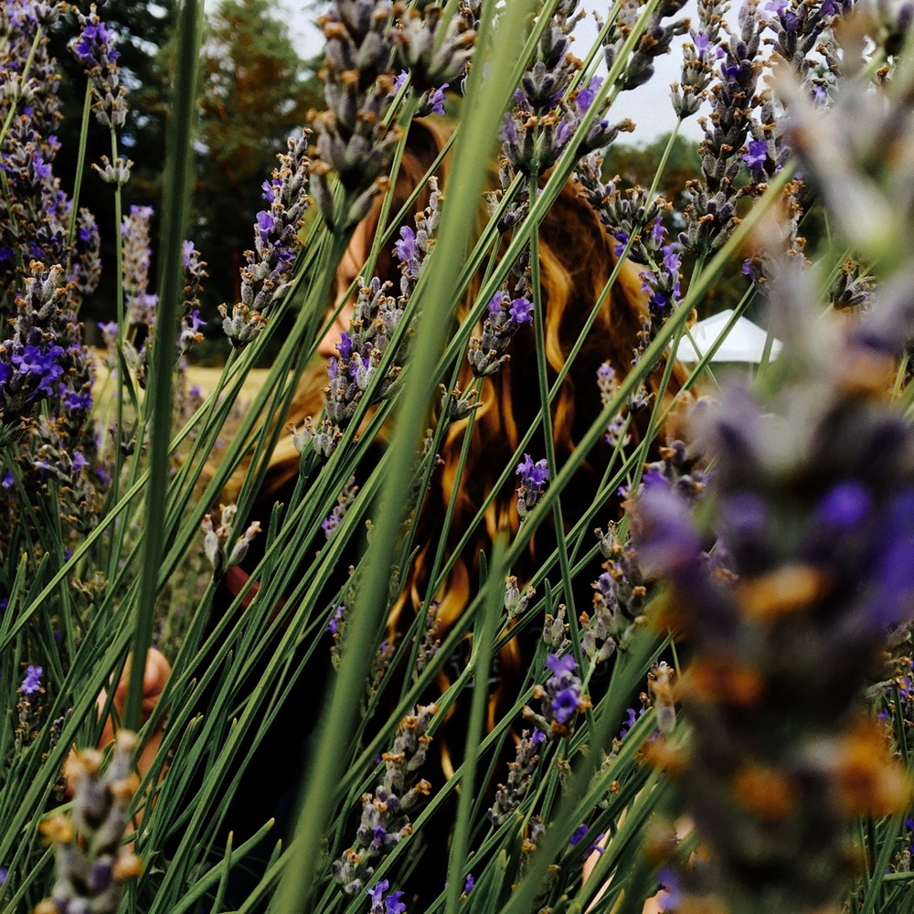 Meet your Posher, Misha